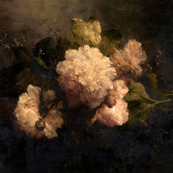 Shabby Chic Collection image