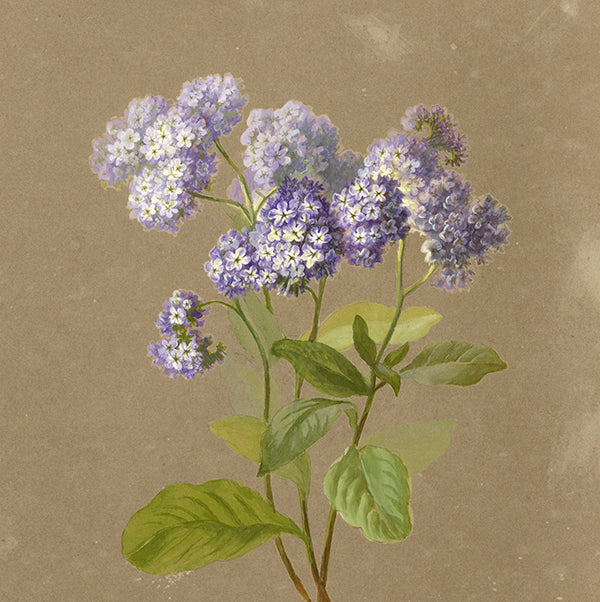 Shop all Farmhouse Decor