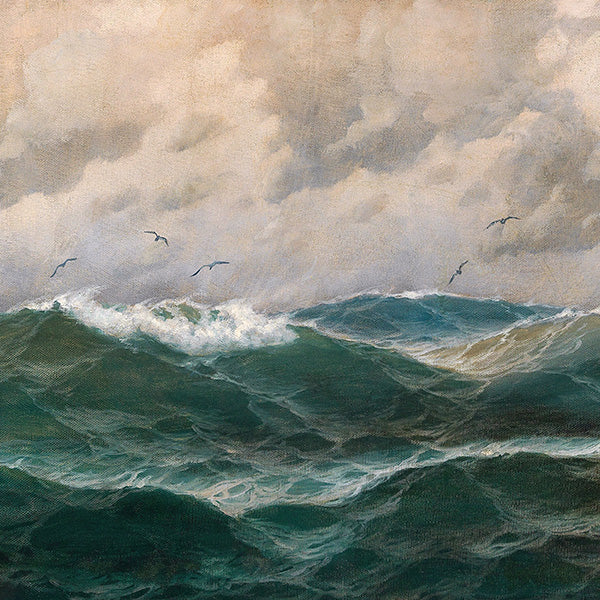 Coastal Decor category image