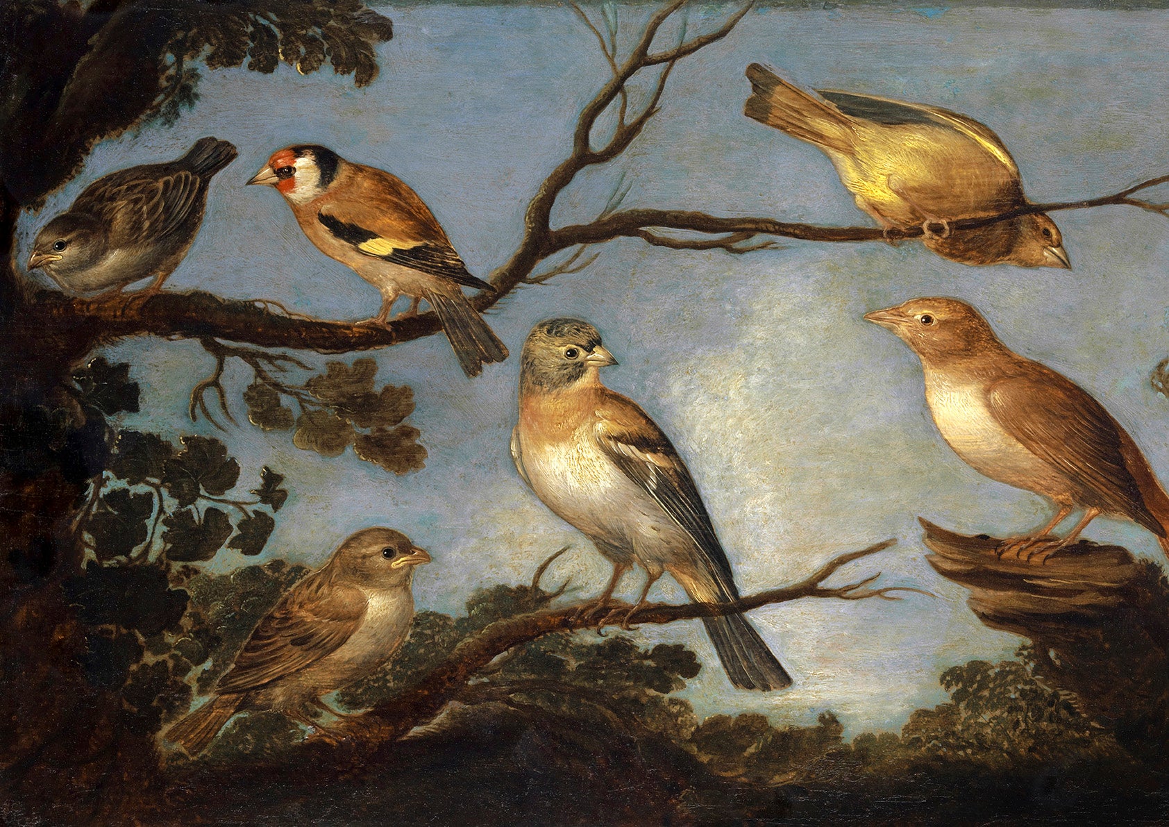 Giclée print of birds perched on branches against a background of blue sky