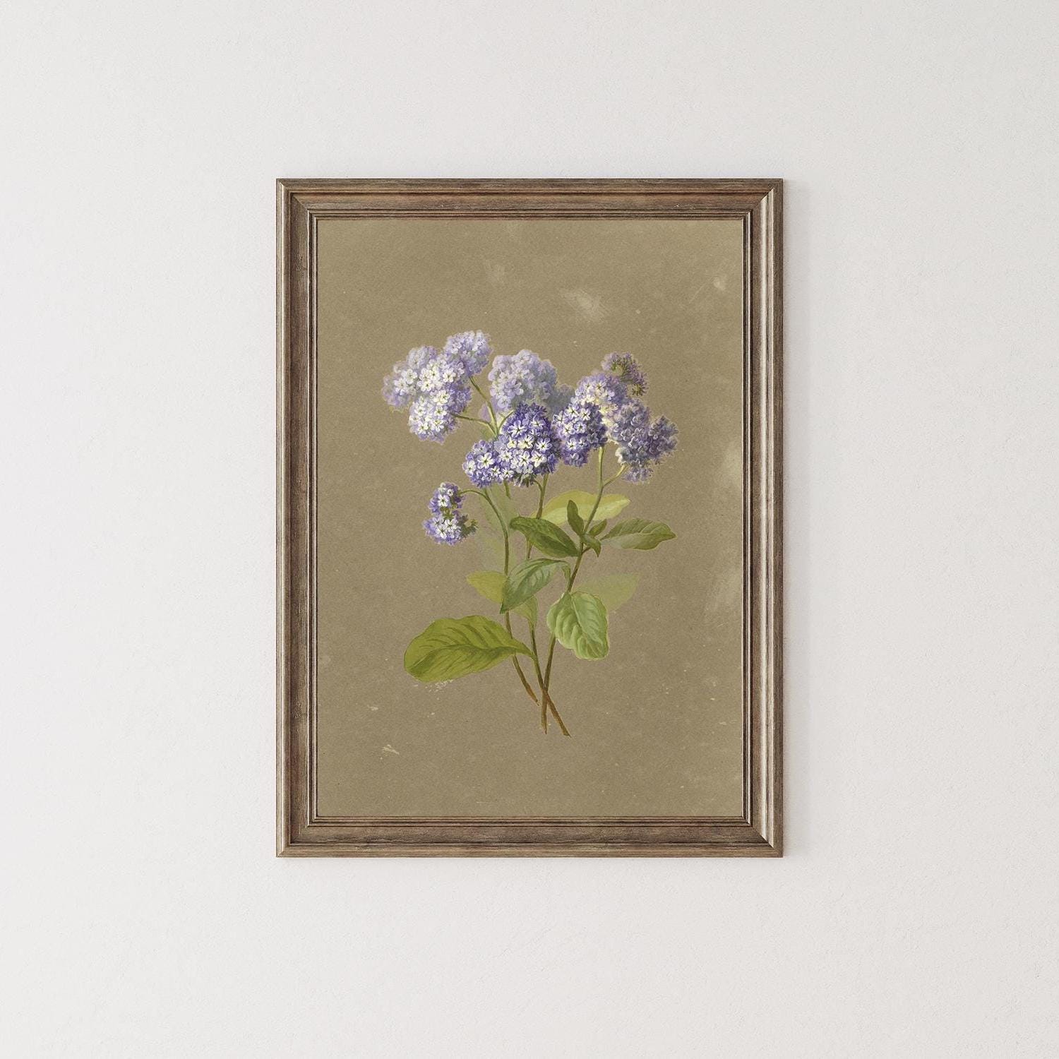 A fine art print of a delicate botanical artwork that features a sprig of purple heliotrope. The print is displayed hanging on a neutral-coloured wall in a wooden picture frame.