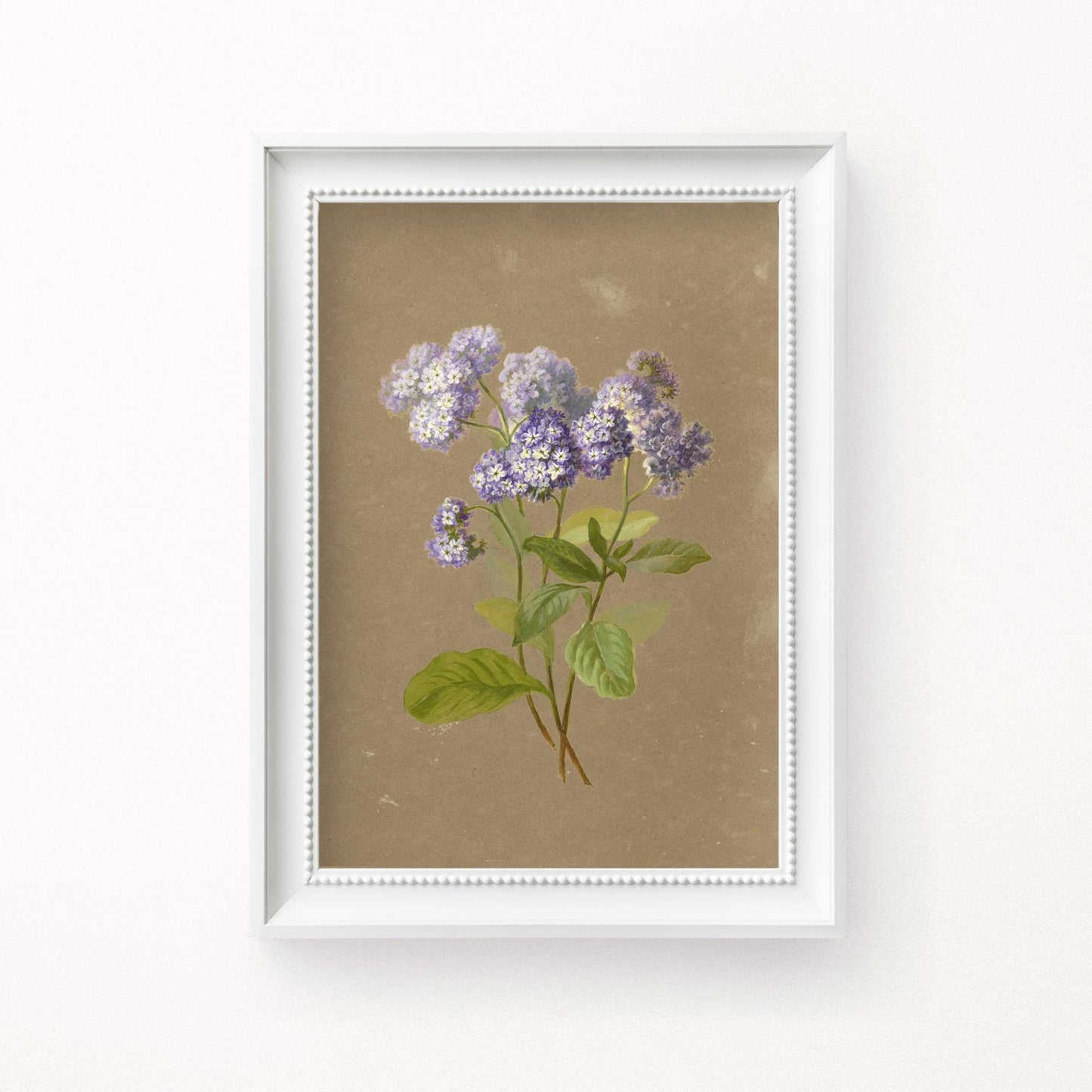 A fine art print of a delicate botanical artwork that features a sprig of purple heliotrope. The print is displayed hanging on a white wall in a white picture frame.
