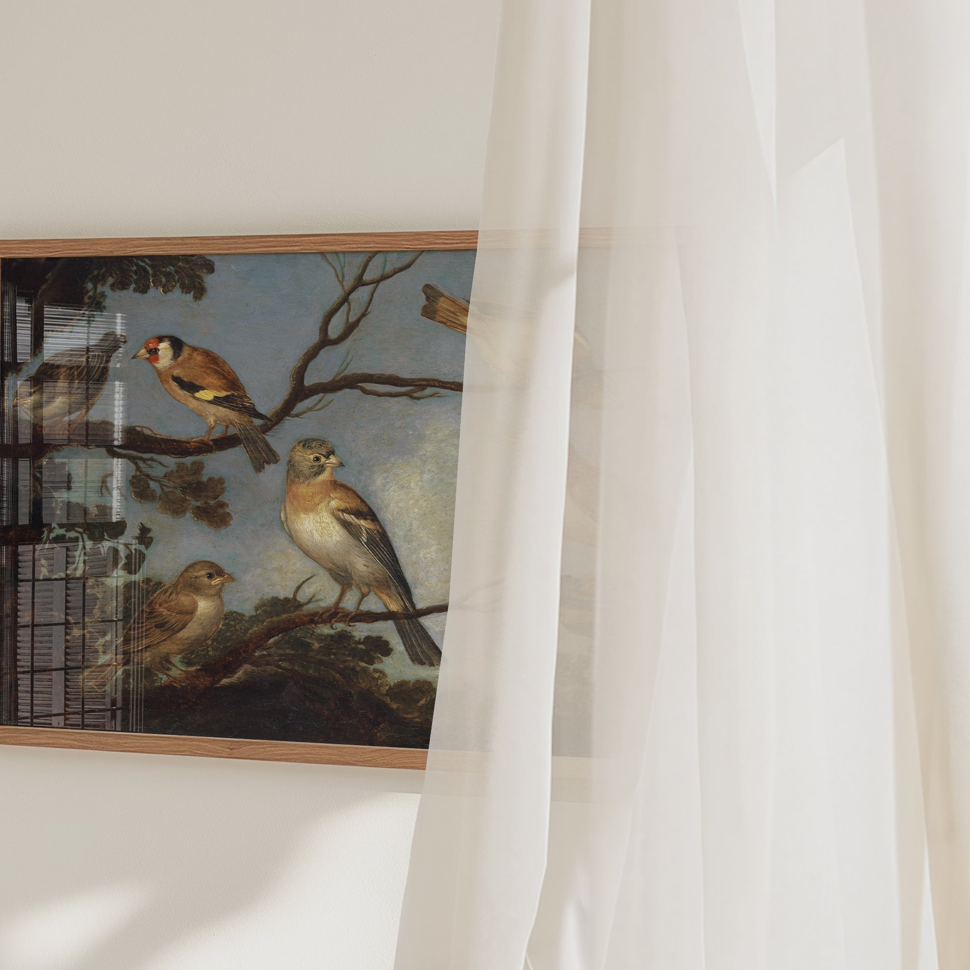 A video of a framed print of garden birds gathered together on the branches of a tree. The video pans across with a net curtain blowing in the breeze.