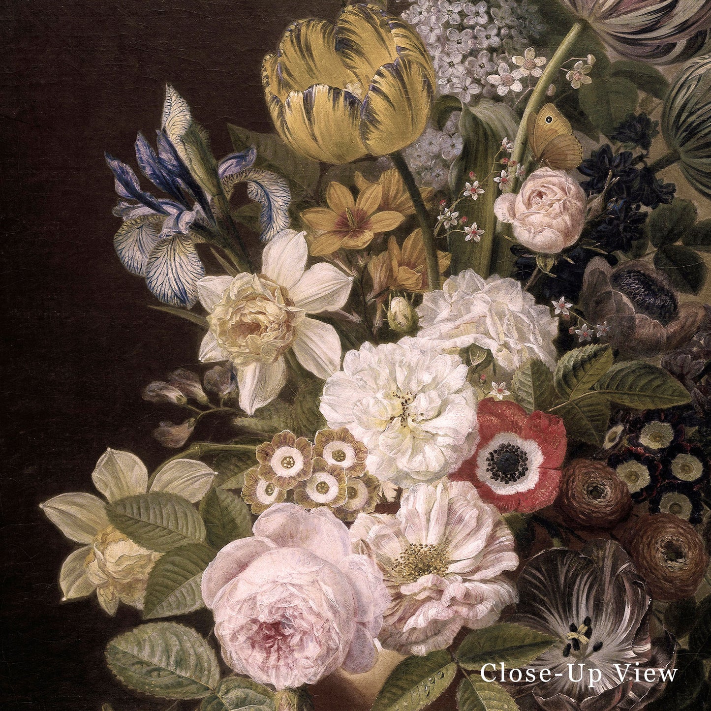 Close-up of a bouquet of flowers with a dark background